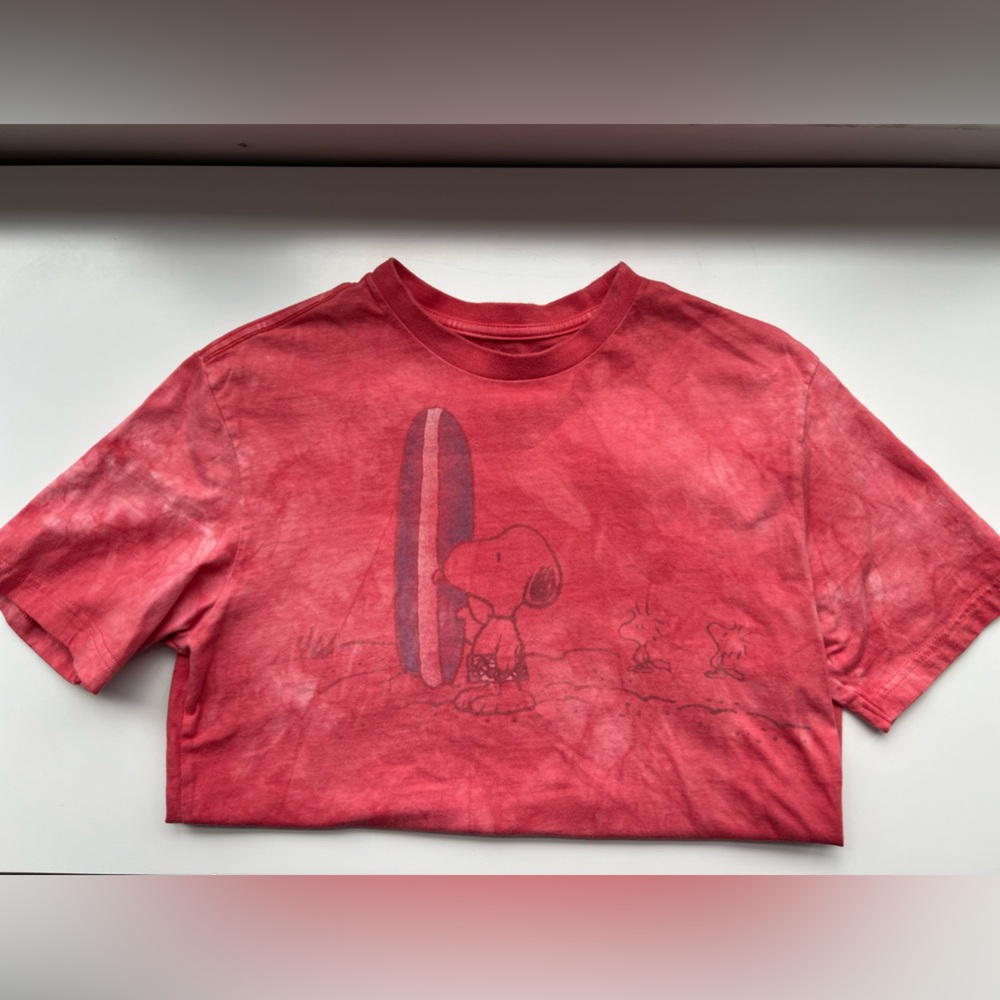 America Eagle oversized snoopy graphic tee